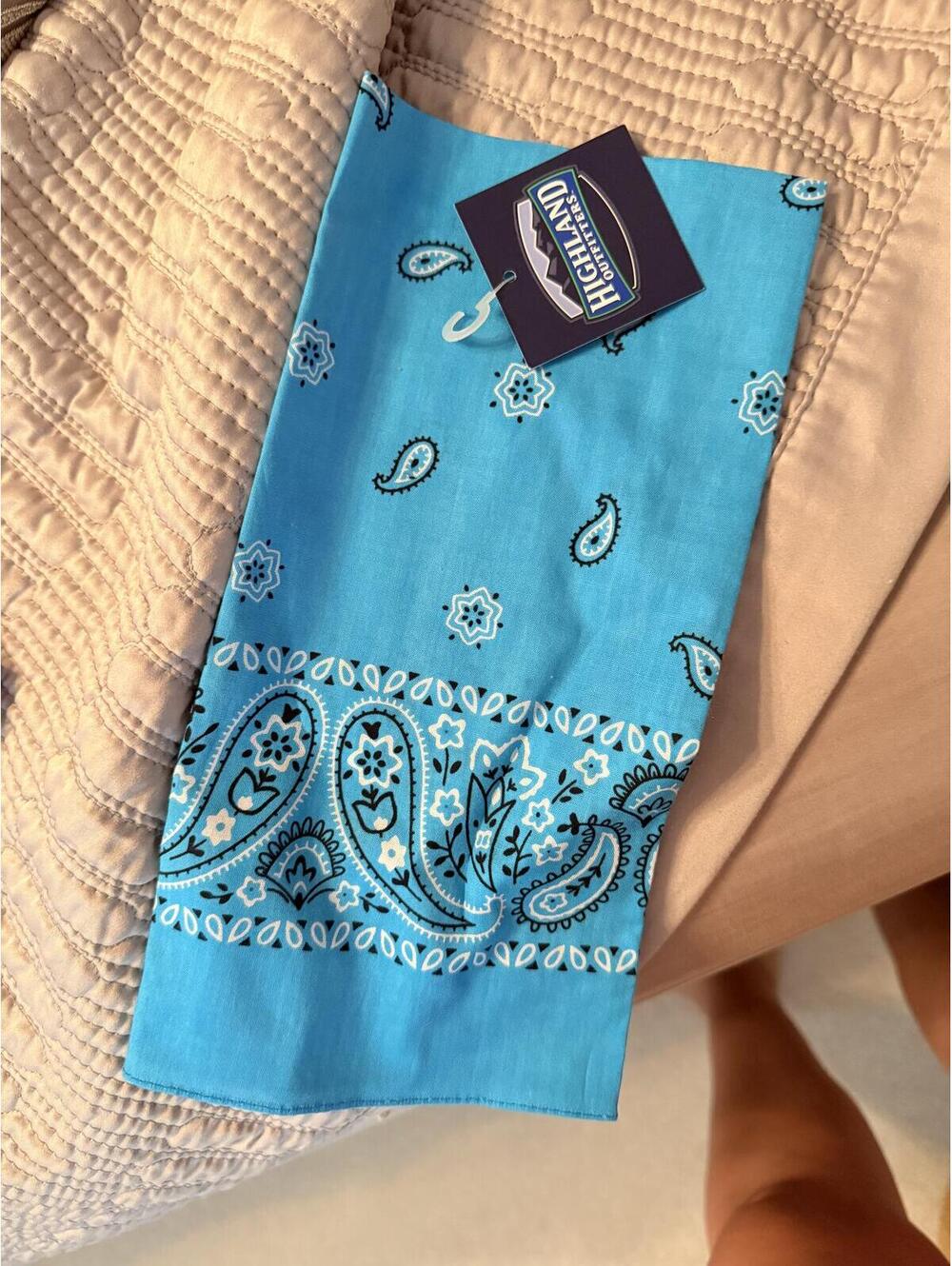 High Noon Blue Paisley Bandana Scarf Handkerchief